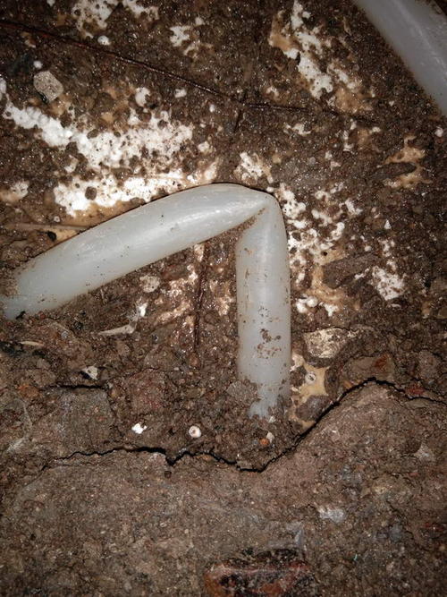 仁布堵点精准查找